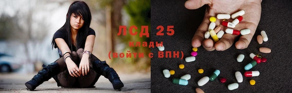PSILOCYBIN Алексеевка