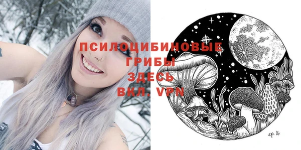 PSILOCYBIN Алексеевка