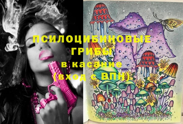 PSILOCYBIN Алексеевка