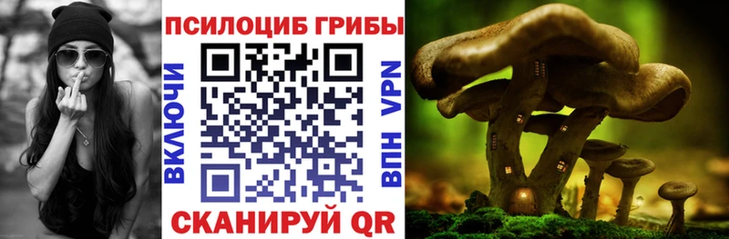 Псилоцибиновые грибы Magic Shrooms  Пугачёв 
